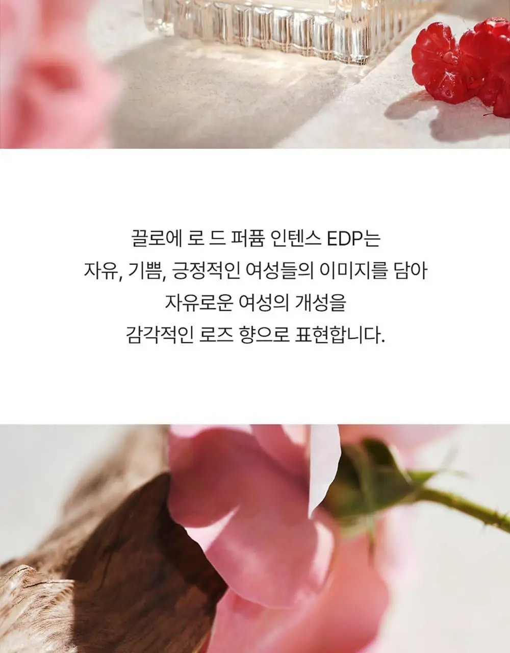 [NEW 시그니처]끌로에 로 드 퍼퓸 인텐스 EDP 30ml/50ml/50기획 상세페이지 5
